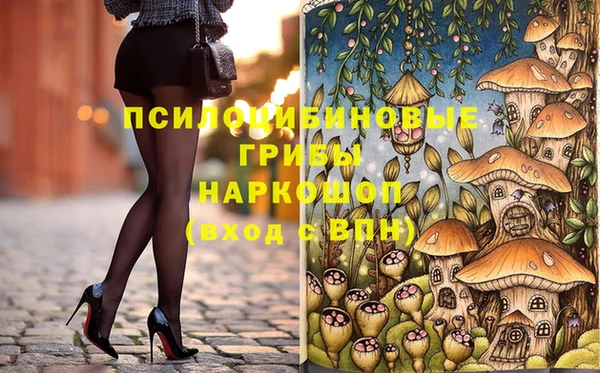 крисы Карпинск