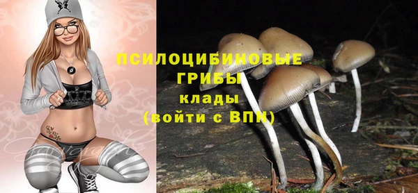 твердый Каменск-Шахтинский